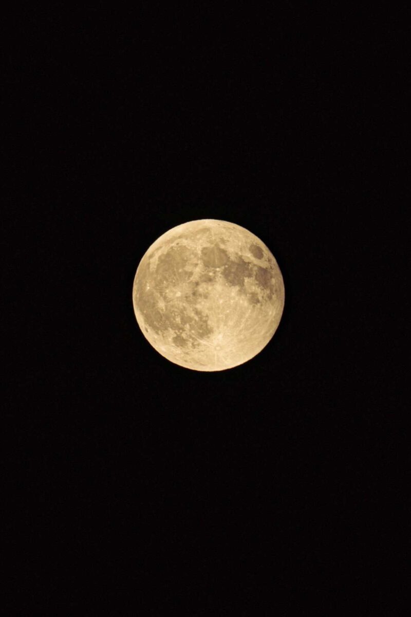 サラパーク満月