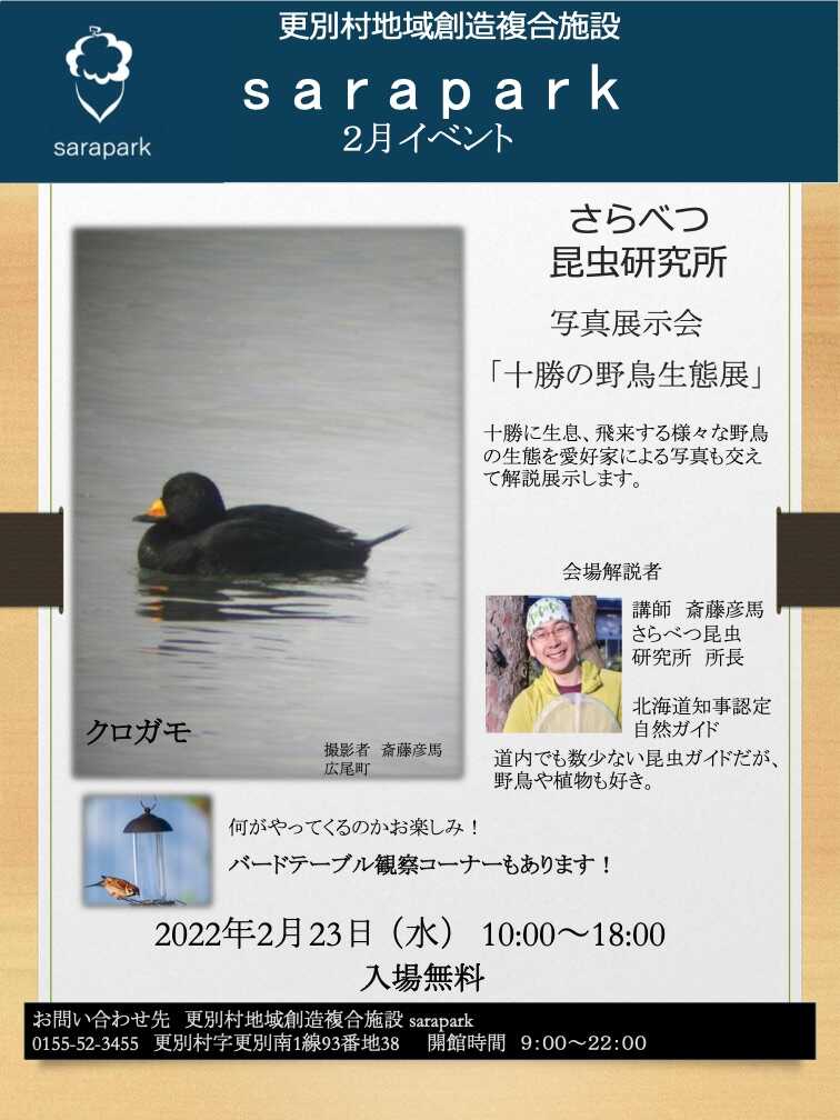 さらべつ昆虫研究所 写真展示会「十勝の野鳥生態展」