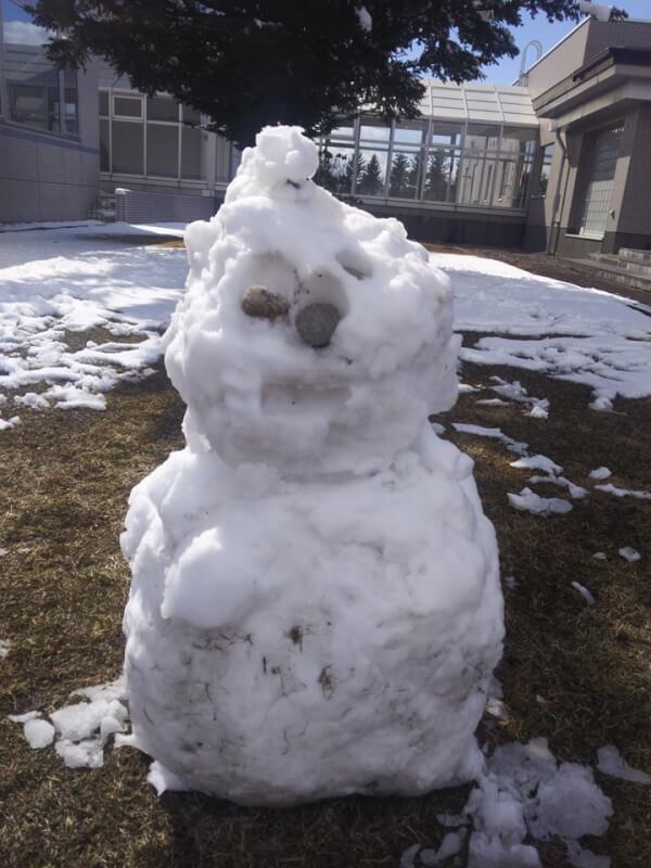 子供たちが 雪だるまを作ってくれました サンドームおとふけ